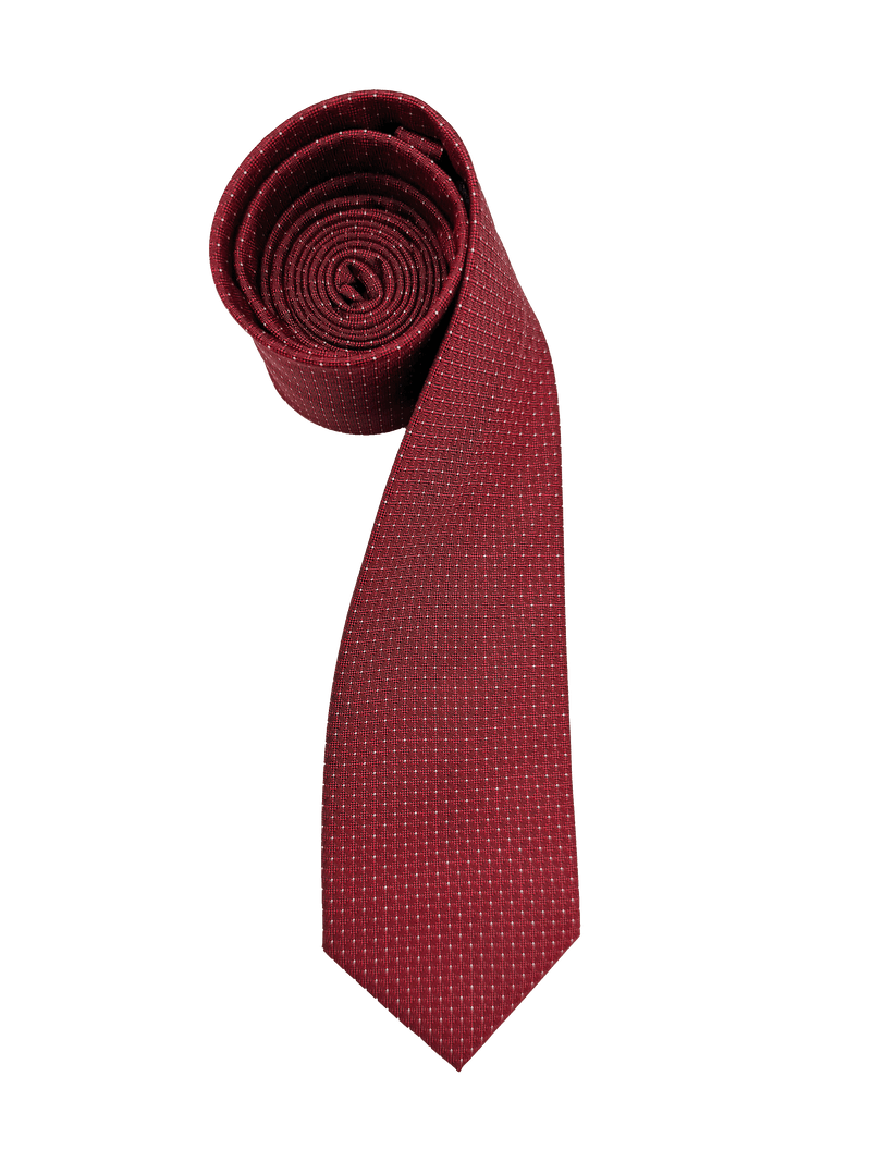 Red Dotted Tie