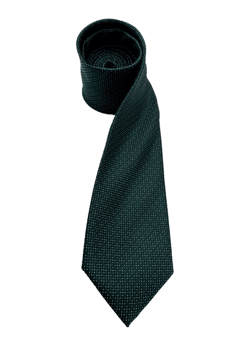 Irving Dark Green Micro Dot Textured Tie